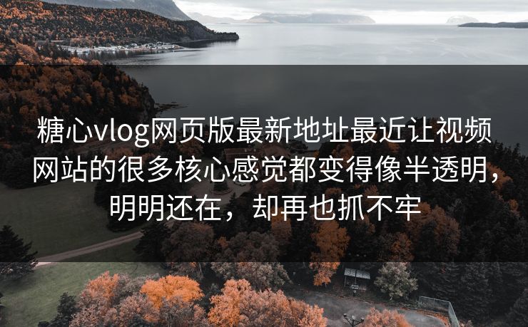 糖心vlog网页版最新地址最近让视频网站的很多核心感觉都变得像半透明，明明还在，却再也抓不牢